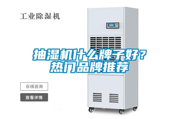 抽濕機(jī)什么牌子好？熱門品牌推薦