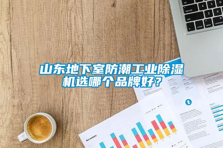 山東地下室防潮工業(yè)除濕機選哪個品牌好？