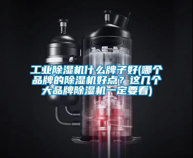 工業(yè)除濕機(jī)什么牌子好(哪個品牌的除濕機(jī)好點？這幾個大品牌除濕機(jī)一定要看)