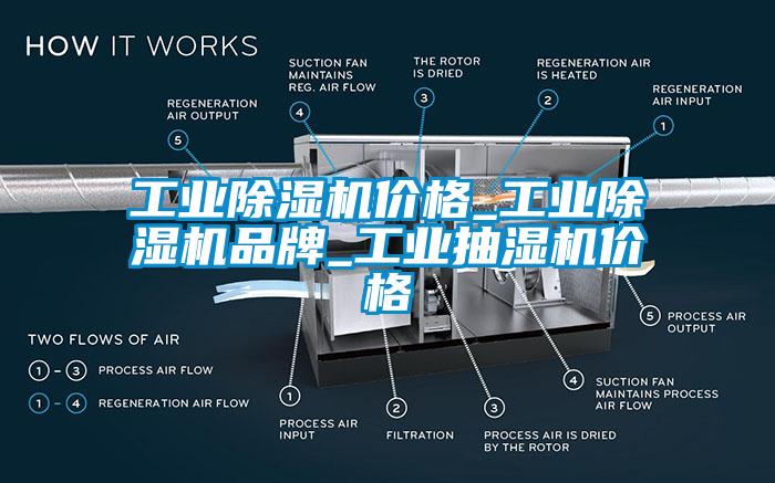 工業(yè)除濕機(jī)價(jià)格_工業(yè)除濕機(jī)品牌_工業(yè)抽濕機(jī)價(jià)格