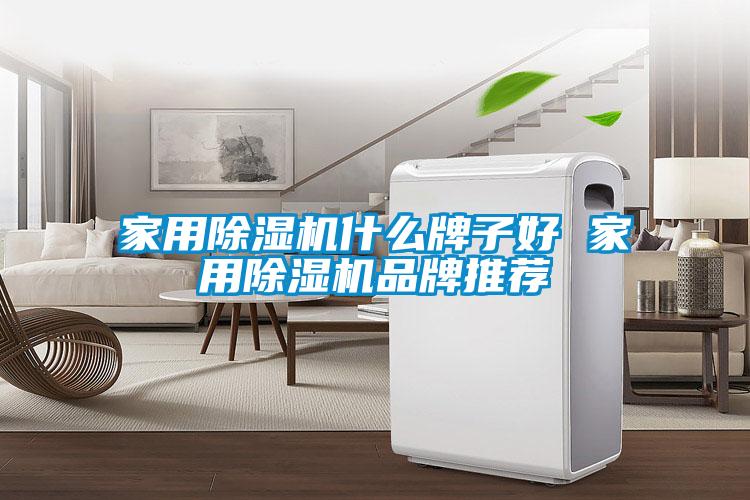 家用除濕機(jī)什么牌子好 家用除濕機(jī)品牌推薦