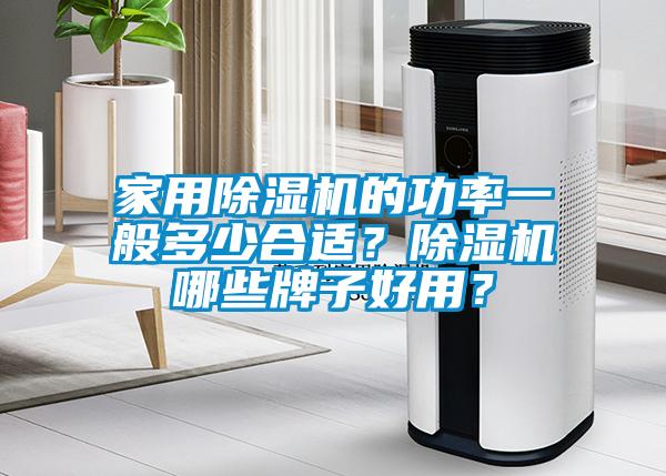 家用除濕機的功率一般多少合適？除濕機哪些牌子好用？