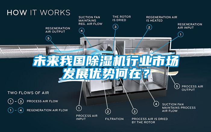 未來我國除濕機(jī)行業(yè)市場發(fā)展優(yōu)勢何在？