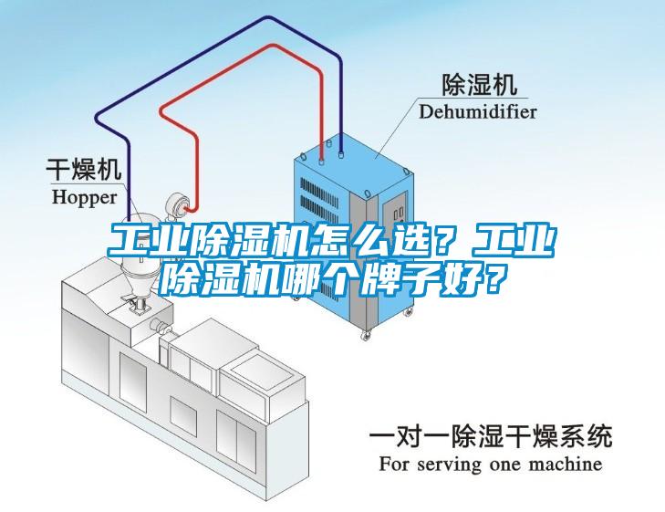 工業(yè)除濕機(jī)怎么選？工業(yè)除濕機(jī)哪個牌子好？