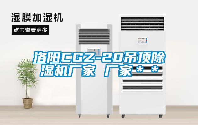 洛陽(yáng)CGZ-20吊頂除濕機(jī)廠家 廠家＊＊