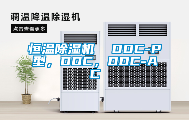 恒溫除濕機(jī)  DDC-P型，DDC，DDC-AC