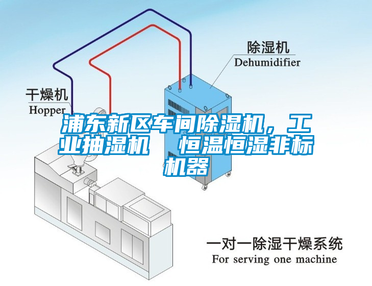 浦東新區(qū)車間除濕機(jī)，工業(yè)抽濕機(jī)  恒溫恒濕非標(biāo)機(jī)器