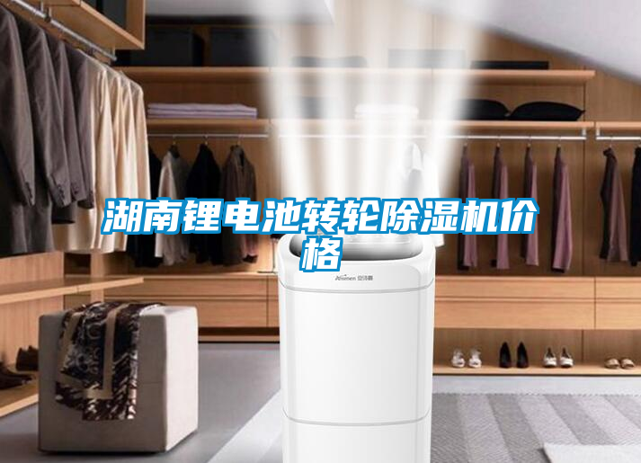 湖南鋰電池轉(zhuǎn)輪除濕機價格