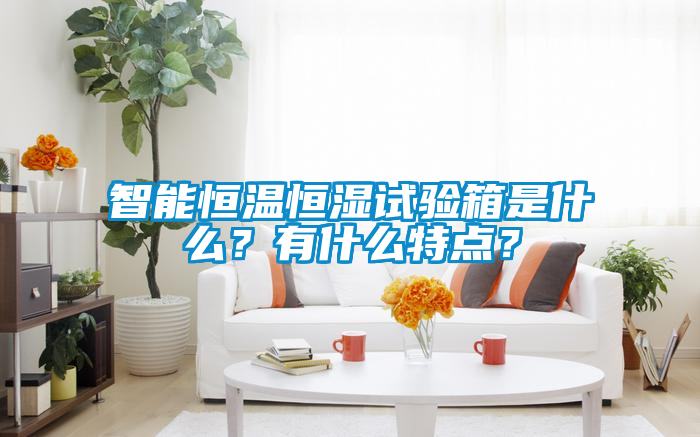 智能恒溫恒濕試驗(yàn)箱是什么？有什么特點(diǎn)？