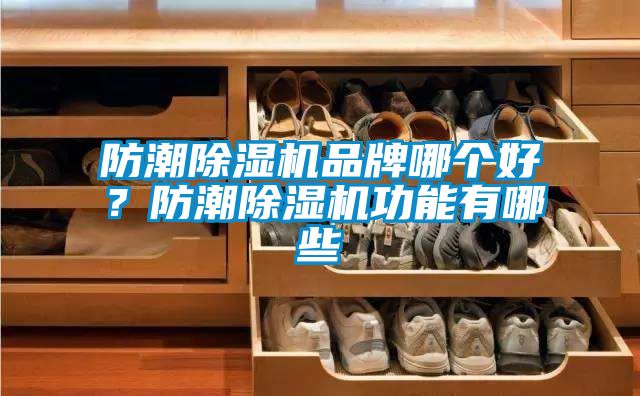 防潮除濕機品牌哪個好？防潮除濕機功能有哪些