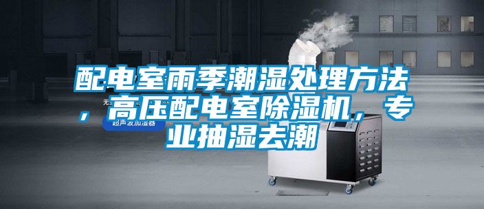 配電室雨季潮濕處理方法，高壓配電室除濕機(jī)，專業(yè)抽濕去潮