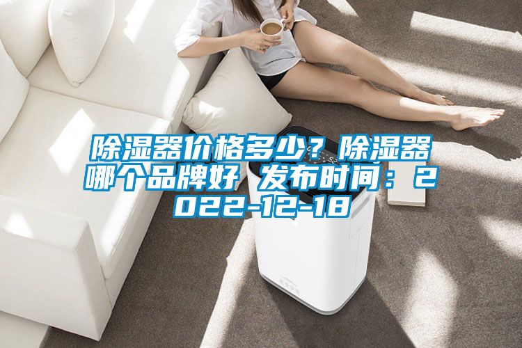 除濕器價格多少？除濕器哪個品牌好 發(fā)布時間：2022-12-18