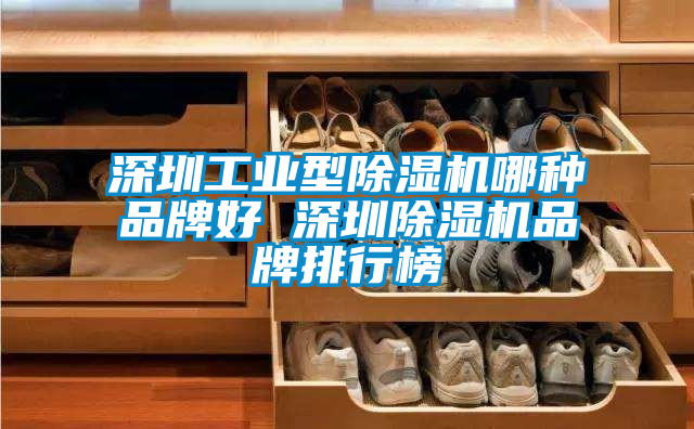 深圳工業(yè)型除濕機哪種品牌好 深圳除濕機品牌排行榜