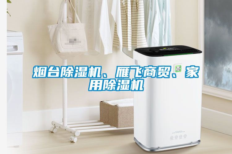 煙臺除濕機、雁飛商貿(mào)、家用除濕機