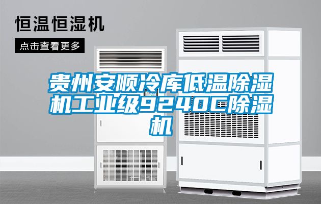 貴州安順冷庫低溫除濕機(jī)工業(yè)級9240C除濕機(jī)