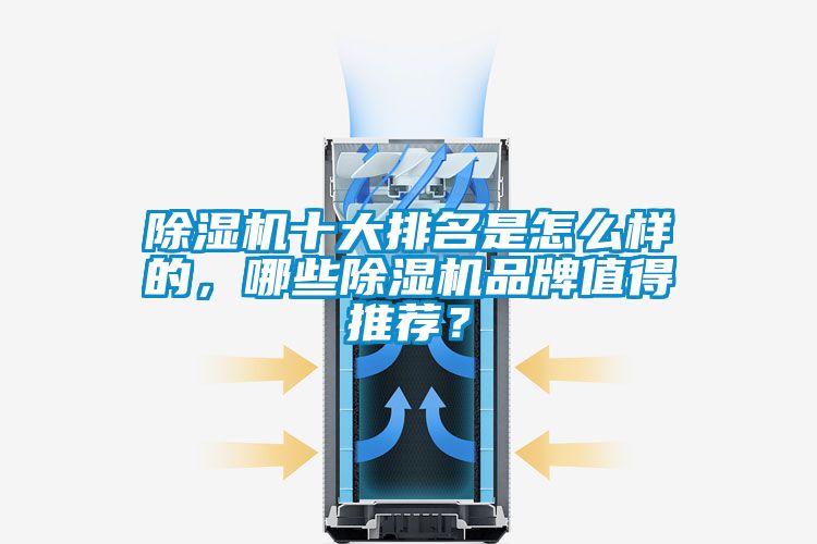 除濕機十大排名是怎么樣的，哪些除濕機品牌值得推薦？