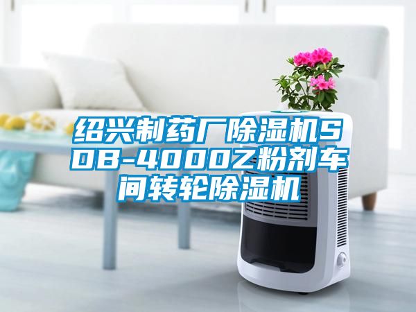 紹興制藥廠除濕機SDB-4000Z粉劑車間轉(zhuǎn)輪除濕機