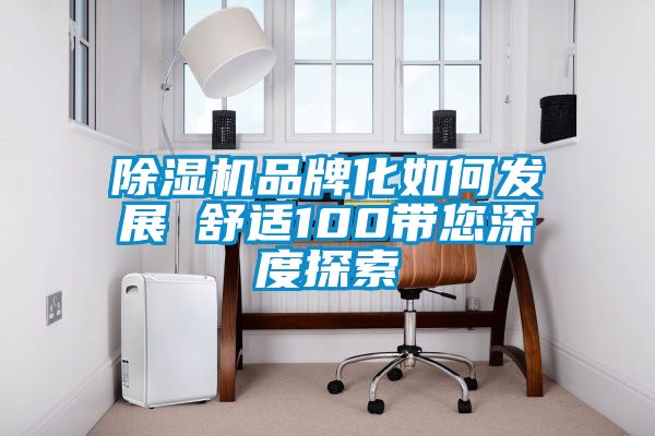 除濕機品牌化如何發(fā)展　　舒適100帶您深度探索