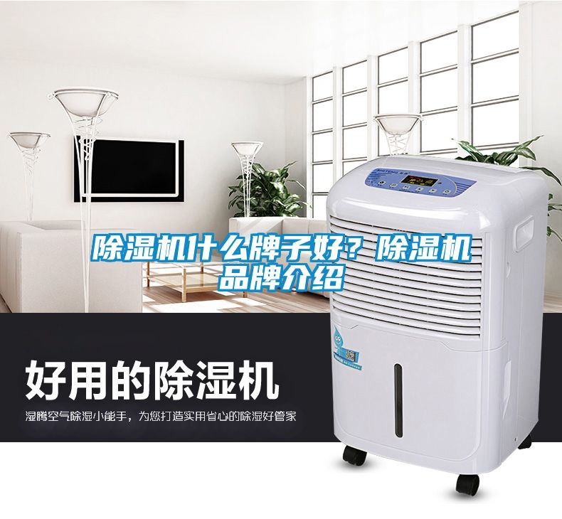 除濕機什么牌子好？除濕機品牌介紹