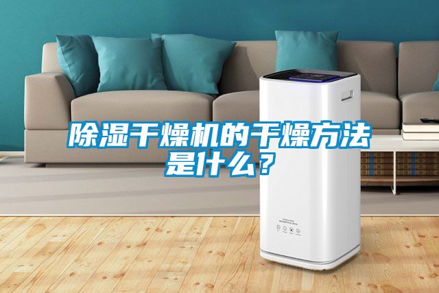 除濕干燥機的干燥方法是什么？