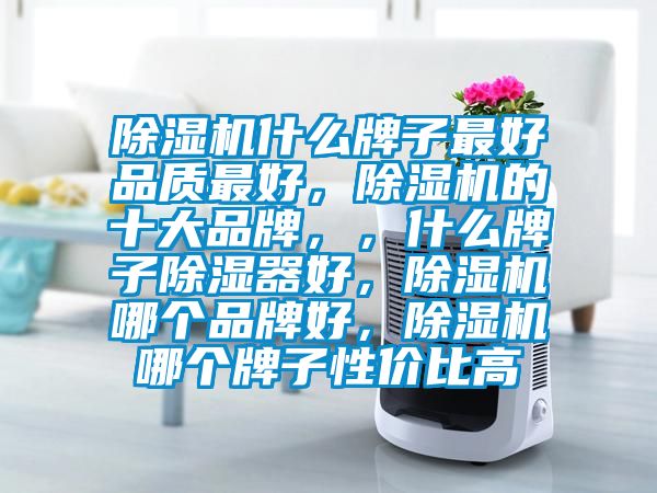 除濕機(jī)什么牌子最好品質(zhì)最好，除濕機(jī)的十大品牌，，什么牌子除濕器好，除濕機(jī)哪個(gè)品牌好，除濕機(jī)哪個(gè)牌子性價(jià)比高