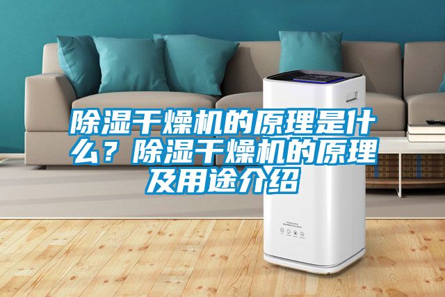 除濕干燥機的原理是什么？除濕干燥機的原理及用途介紹