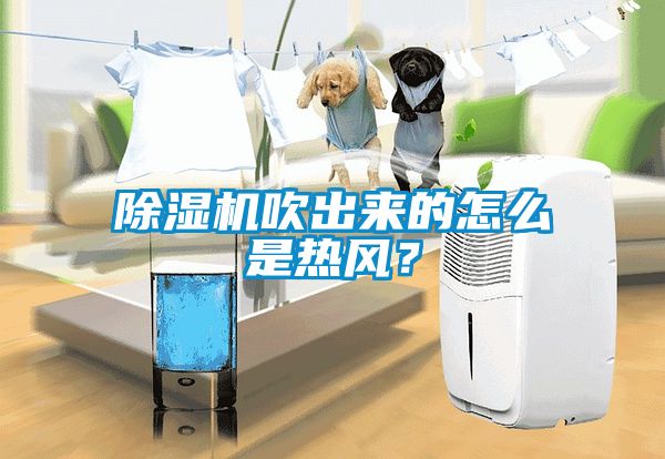 除濕機吹出來的怎么是熱風(fēng)？