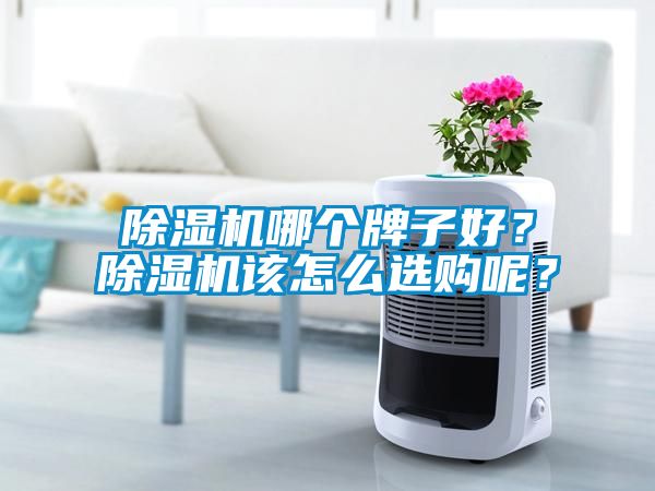 除濕機哪個牌子好？除濕機該怎么選購呢？