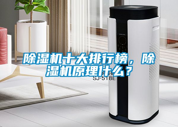 除濕機十大排行榜，除濕機原理什么？