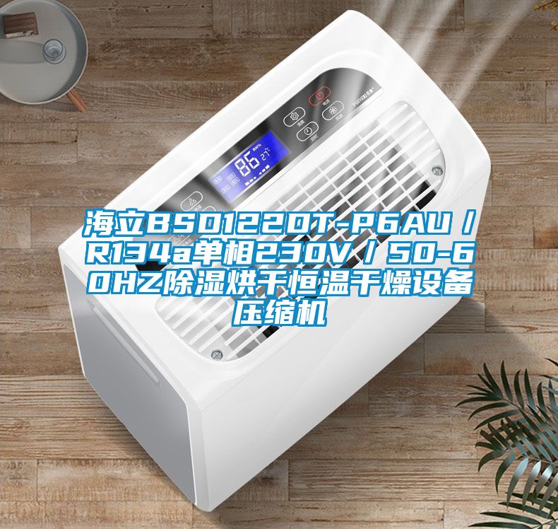 海立BSD122DT-P6AU／R134a單相230V／50-60HZ除濕烘干恒溫干燥設備壓縮機