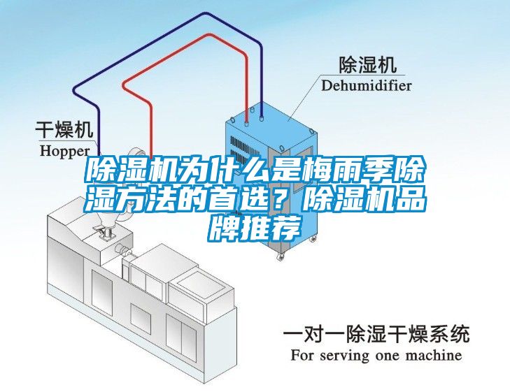 除濕機(jī)為什么是梅雨季除濕方法的首選？除濕機(jī)品牌推薦