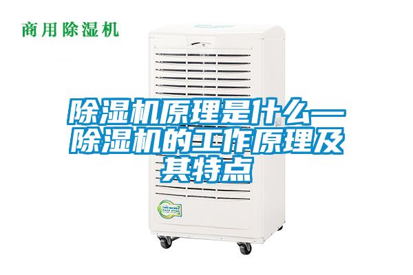 除濕機(jī)原理是什么—除濕機(jī)的工作原理及其特點(diǎn)