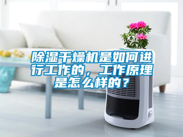 除濕干燥機是如何進行工作的，工作原理是怎么樣的？