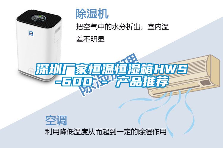 深圳廠家恒溫恒濕箱HWS-600 - 產品推薦