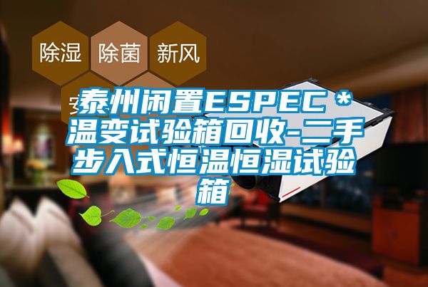 泰州閑置ESPEC＊溫變試驗(yàn)箱回收-二手步入式恒溫恒濕試驗(yàn)箱