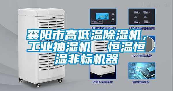 襄陽市高低溫除濕機，工業(yè)抽濕機  恒溫恒濕非標機器