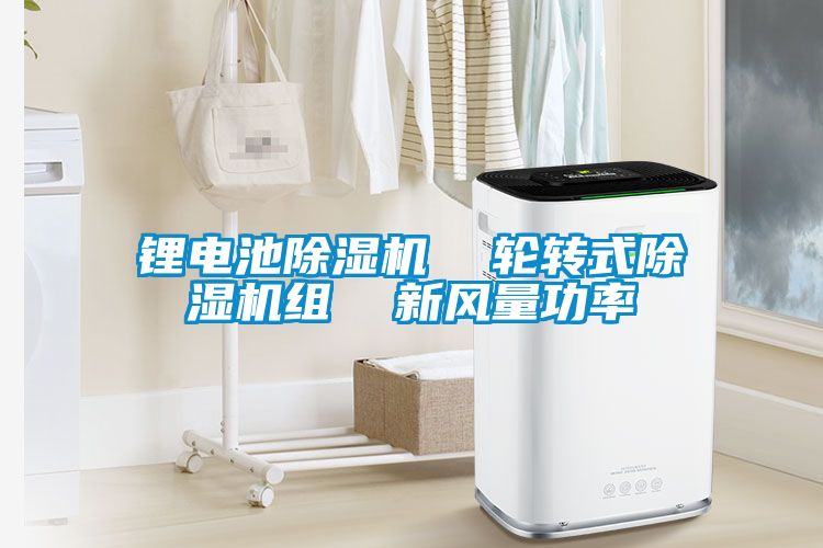 鋰電池除濕機  輪轉(zhuǎn)式除濕機組  新風(fēng)量功率