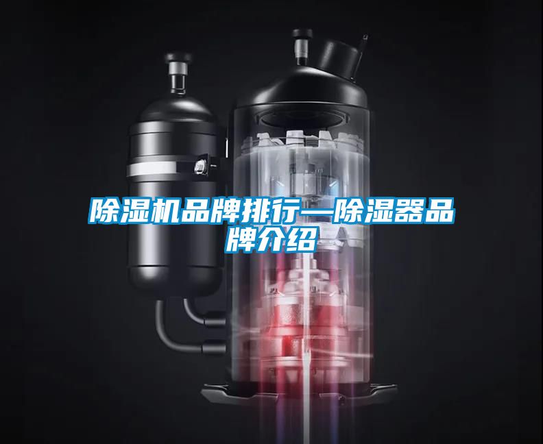 除濕機品牌排行—除濕器品牌介紹