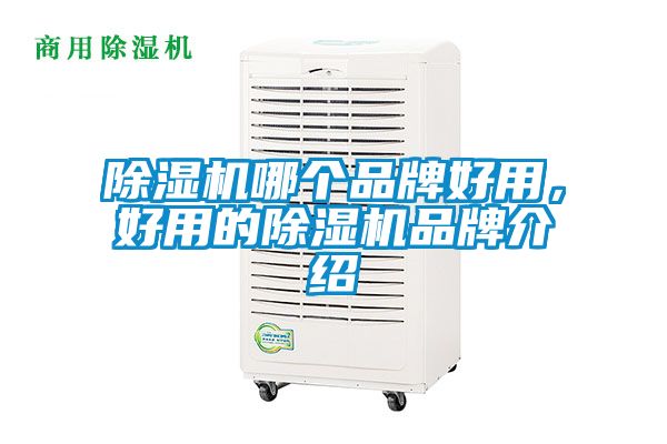 除濕機(jī)哪個品牌好用，好用的除濕機(jī)品牌介紹