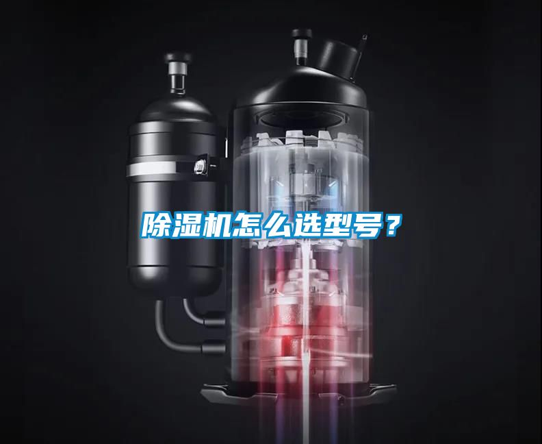 除濕機怎么選型號？