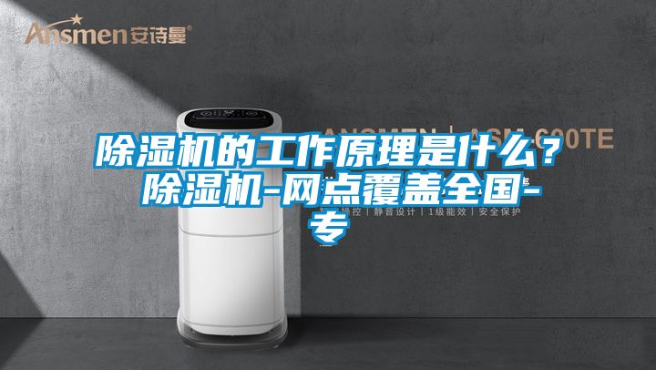 除濕機(jī)的工作原理是什么？ 除濕機(jī)-網(wǎng)點(diǎn)覆蓋全國(guó)-專