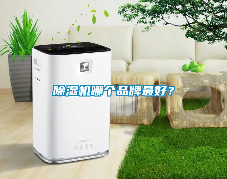 除濕機哪個品牌最好？