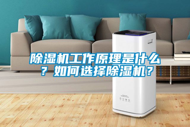 除濕機(jī)工作原理是什么？如何選擇除濕機(jī)？