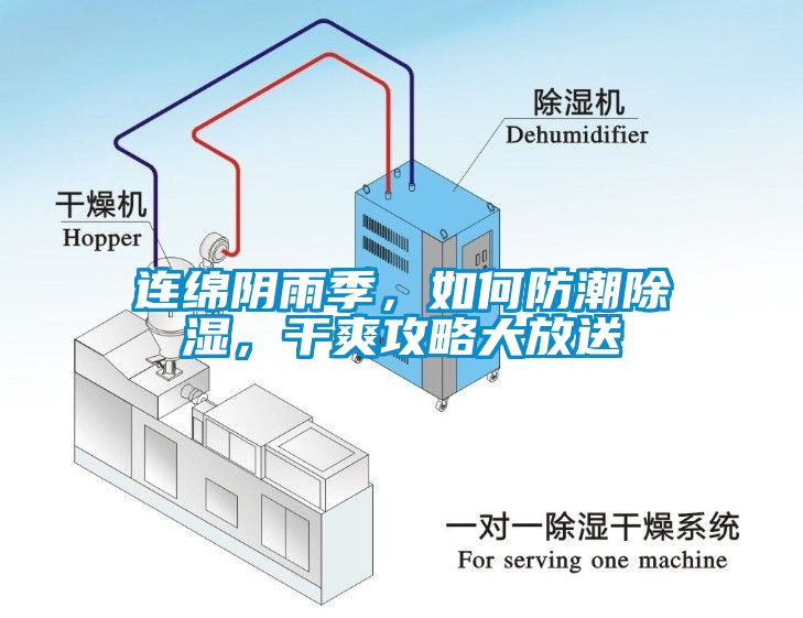 連綿陰雨季，如何防潮除濕，干爽攻略大放送