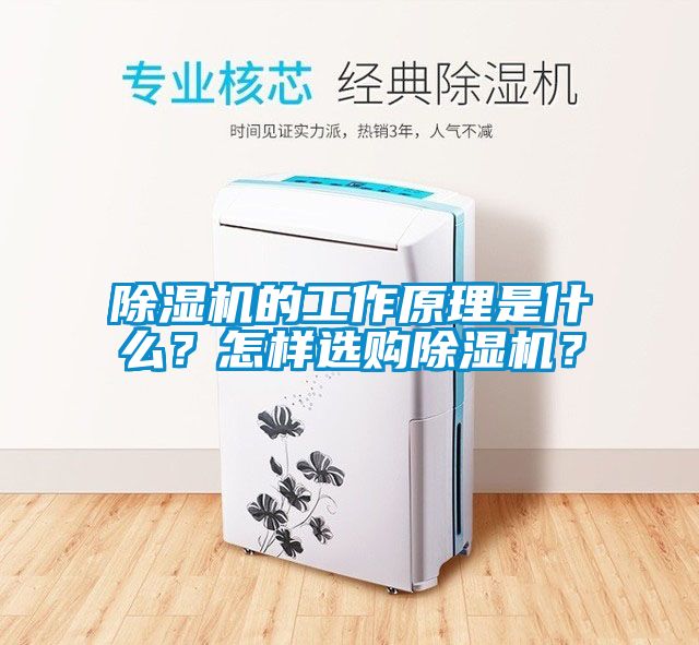 除濕機的工作原理是什么？怎樣選購除濕機？