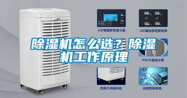 除濕機(jī)怎么選？除濕機(jī)工作原理