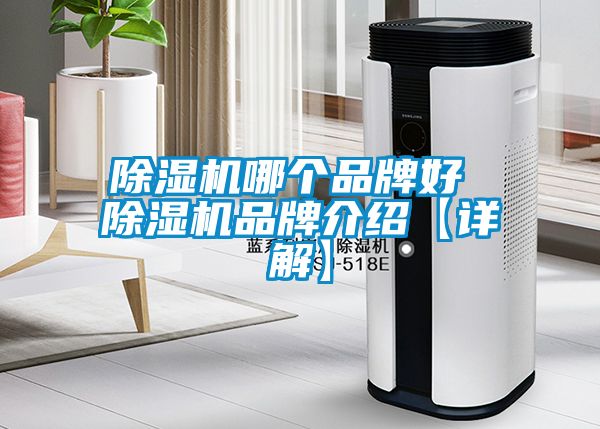 除濕機(jī)哪個品牌好 除濕機(jī)品牌介紹【詳解】