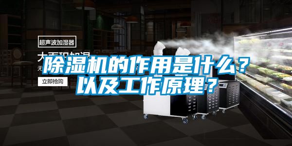 除濕機的作用是什么？以及工作原理？