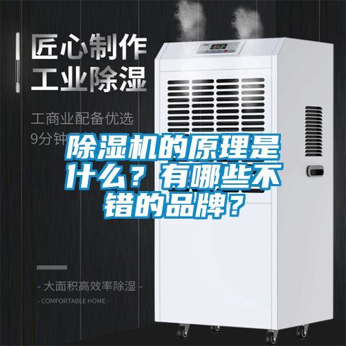 除濕機(jī)的原理是什么？有哪些不錯的品牌？