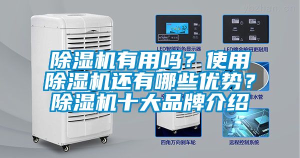 除濕機(jī)有用嗎？使用除濕機(jī)還有哪些優(yōu)勢(shì)？除濕機(jī)十大品牌介紹